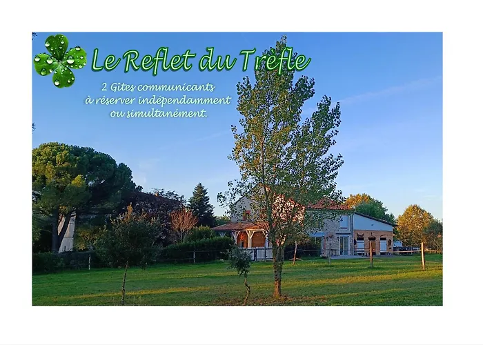 Le Reflet Du Trefle