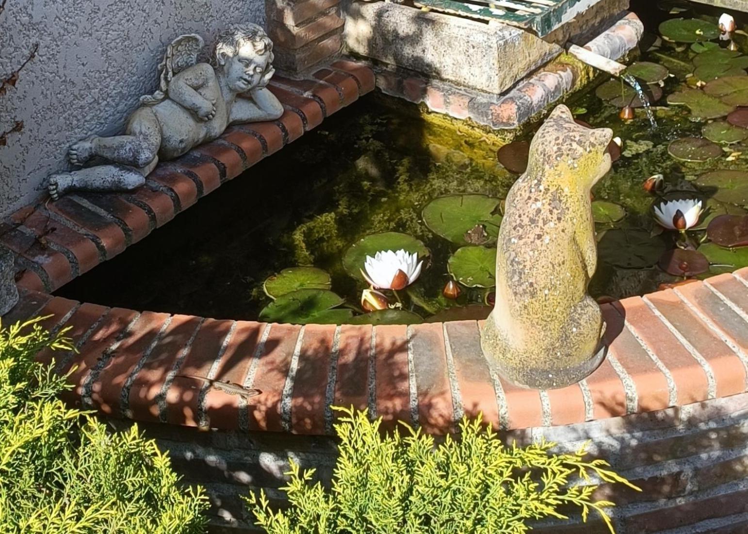 Le Reflet Du Trefle Ferienhaus Puybegon
